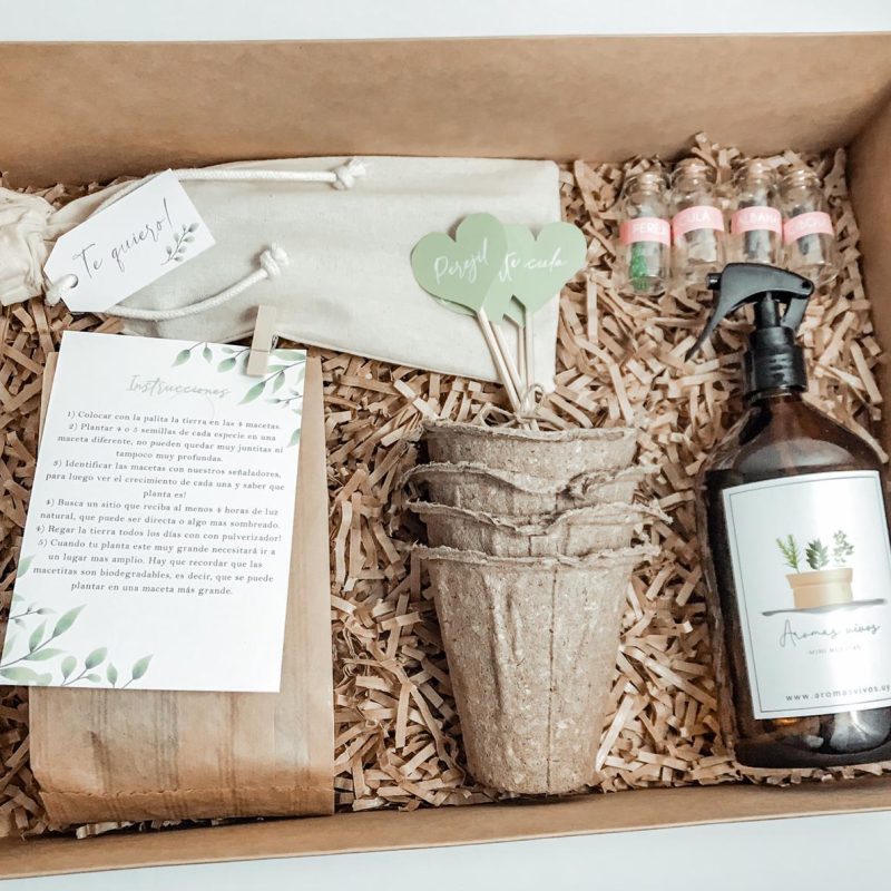 kit huerta dia de la madre